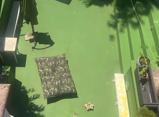 Bed & Breakfast 4 Balconi Paladini E