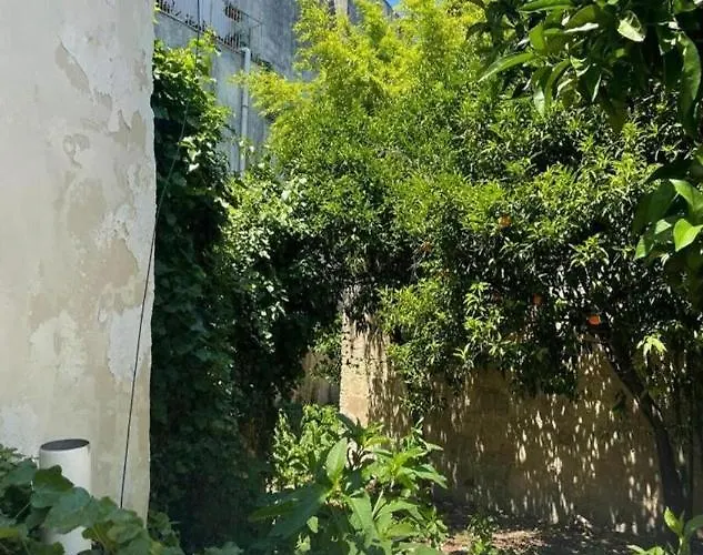 4 Balconi Paladini E